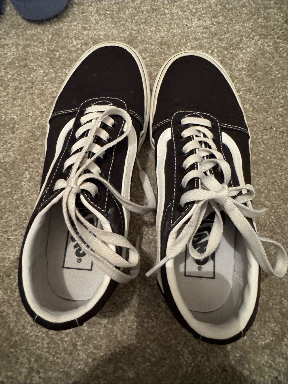 Vans Black and White Low-Top Skate Sneakers